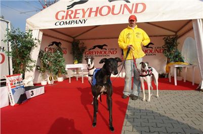 Czech_Greyhound_Racing_Federation_ST_LEGER_2008_Kotek_-DSC05843.jpg