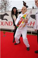 Czech_Greyhound_Racing_Federation_ST_LEGER_2008_DSC05679.JPG