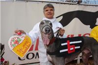 Czech_Greyhound_Racing_Federation_ST_LEGER_2008_DSC05773_small.JPG