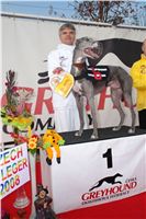 Czech_Greyhound_Racing_Federation_ST_LEGER_2008_DSC05776.JPG