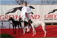 Czech_Greyhound_Racing_Federation_ST_LEGER_2008_DSC05825.JPG