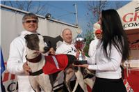 Czech_Greyhound_Racing_Federation_ST_LEGER_2008_DSC05852.JPG