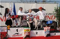 Czech_Greyhound_Racing_Federation_ST_LEGER_2008_DSC05859.JPG