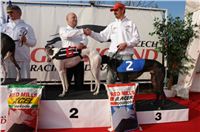 Czech_Greyhound_Racing_Federation_ST_LEGER_2008_DSC05875.JPG