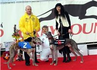 Czech_Greyhound_Racing_Federation_ST_LEGER_2008_Kopie_u_v_r_ DSC05757.JPG