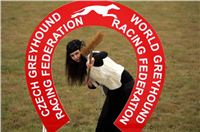 Czech_Greyhound_Racing_Federation_ST_LEGER_2008_carodej_leg_NQ1M8949.JPG