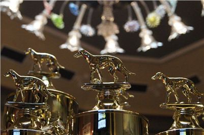 Golden_Greyhound_Awards_winners_Czech_Greyhound_Racing_Federation_DSC06629.jpg
