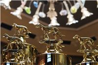 Golden_Greyhound_Awards_winners_Czech_Greyhound_Racing_Federation_DSC06629.jpg