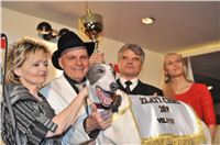 Zlaty_Chrt_2010_Golden_Greyhound_Awards_303.jpg