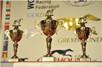 Zlaty_chrt_Golden_Greyhound_Awards_2012_media_CGDF_008.jpg