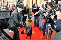 Zlaty_chrt_Golden_Greyhound_Awards_2012_media_CGDF_066.jpg