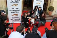 Zlaty_chrt_Golden_Greyhound_Awards_2012_media_CGDF_IMG_5222.jpg