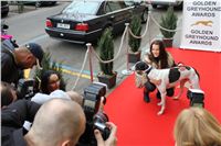 Zlaty_chrt_Golden_Greyhound_Awards_2012_media_CGDF_IMG_5289.JPG