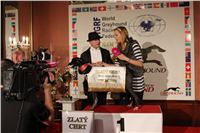 Zlaty_chrt_Golden_Greyhound_Awards_2012_media_CGDF_IMG_5471.JPG