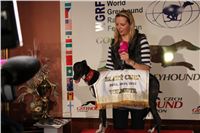 Zlaty_chrt_Golden_Greyhound_Awards_2012_media_CGDF_IMG_5473.JPG