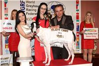 Golden_Greyhound_Awards_2012_Dolce_CGDF.jpg
