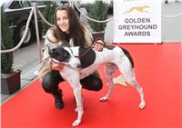 Golden_Greyhound_Awards_2012_Miss_Sokolova_Dolce_CGDF.jpg