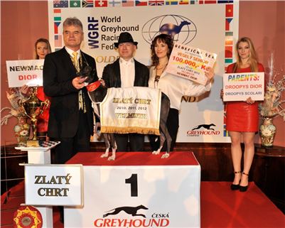 Dior_Velmistr_CHRTi_pro_CHaRiTu_Czech_Greyhound_Racing_federation.jpg