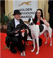 Dior_Dolce_CHRTi_pro_CHaRiTu_Czech_Greyhound_Racing_federation.jpg