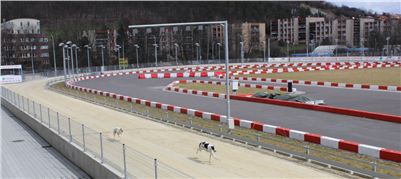 Greyhound_Park_Motol_test_spring_trial_IMG_5809.JPG