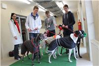 Greyhound_Park_Motol_test_spring_trial_IMG_5828.JPG