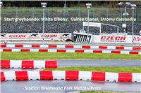 Trial_Greyhound_Race_Track_Prague_GP_Motol_CGDF_IMG_6001_v.JPG