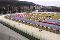 Trial_Greyhound_Race_Track_Prague_GP_Motol_CGDF_IMG_6012.JPG