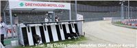 Trial_Greyhound_Race_Track_Prague_GP_Motol_CGDF_IMG_6019_v.JPG