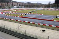Trial_Greyhound_Race_Track_Prague_GP_Motol_CGDF_IMG_6046.JPG
