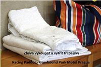 Trial_Greyhound_Race_Track_Prague_GP_Motol_CGDF_IMG_6083.JPG