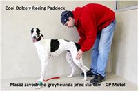 Trial_Greyhound_Race_Track_Prague_GP_Motol_CGDF_IMG_IMG_6053.jpg