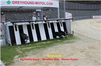 Trial_Greyhound_Sand_Race_Track_Prague_GP_Motol_IMG_6019.jpg