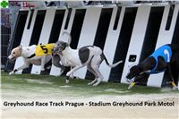 Greyhound_Race_Track_Prague_CGDF_IMG_6321.jpg