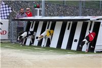 Greyhound_Race_Track_Prague_CGDF_IMG_6388_v1.JPG