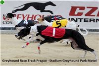 Greyhound_Race_Track_Prague_CGDF_IMG_6390.jpg