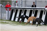 Greyhound_Race_Track_Prague_CGDF_IMG_6409_v2.JPG