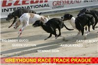 Greyhound_Racing_Prague_Stadium_Czech_Greyhound_Racing.jpg