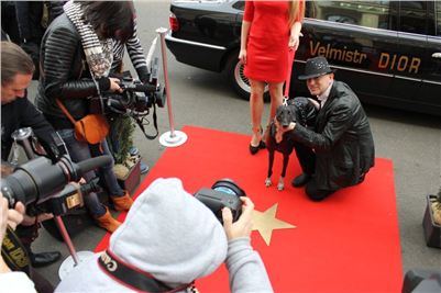 Zlaty_chrt_Golden_Greyhound_Awards_2012_media_CGDF_IMG_5264.JPG