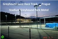 Greyhound_Race_Tack_Prague_in_Stadium_Greyhound_Park_Motol_CGDF.jpg