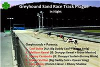 Night_Greyhound_Race_Track_Prague_Stadium_Greyhound_Park_Motol_CGDF.jpg