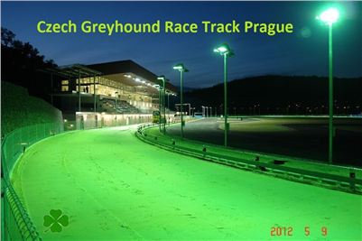 Chrti_dostihova_draha_Praha_stadion_Greyhound_Park_Motol_v_noci_CGDF.jpg