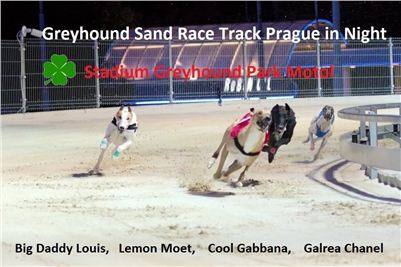 Greyhound_Sand_Race_Track_Prague_Stadium_Greyhound_Park_Motol_CGDF.jpg