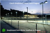 Chrti_dostihova_draha_Praha_stadion_Greyhound_Park_Motol_v_noci_CGDF (2).jpg