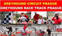 Race_Circuits_Greyhound_Park_Motol_CGDF.jpg