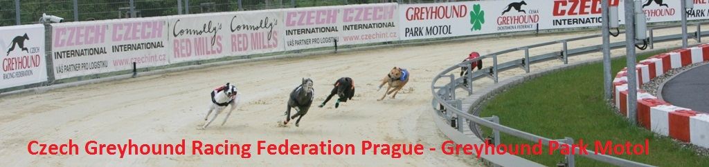 Greyhound_Race_Track_Prague_Greyhound_Park_Motol_NQ1M0023_v.jpg