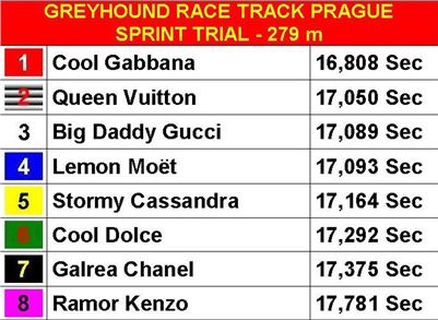 Sprint_Test_trial_Greyhound_Park_Motol_finals_1.JPG