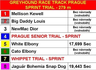 Sprint_Test_trial_Greyhound_Park_Motol_finals_2.JPG