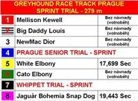 Sprint_Test_trial_Greyhound_Park_Motol_finals_2.JPG