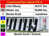 Berg_Toys_Cup_Greyhound_Park_Motol_CGDF_Finals_3.JPG