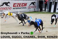 Berg_Toys_Cup_Greyhound_Park_Motol_CGDF_IMG_7987.jpg